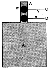 NCERT Solutions for Class 11 Physics Chapter 14 Oscillations Q20