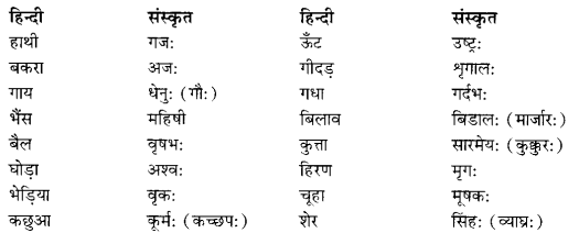 Class 6 Sanskrit Grammar Book Solutions व्यावहारिक शब्दकोश 1