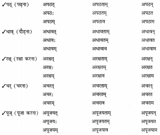 Class 8 Sanskrit Grammar Book Solutions धातुरूप-प्रकरणम् 8