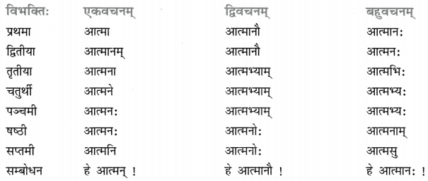 Class 8 Sanskrit Grammar Book Solutions शब्द-रूपाणि 19