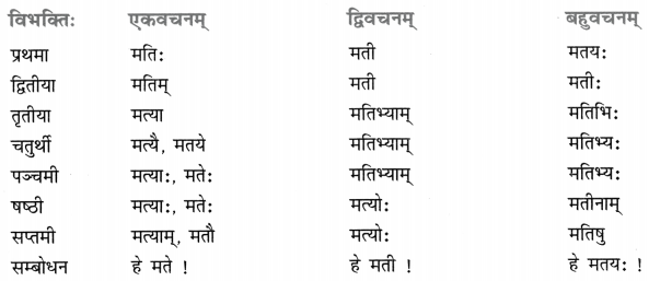 Class 8 Sanskrit Grammar Book Solutions शब्द-रूपाणि 7