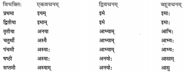 Class 8 Sanskrit Grammar Book Solutions सर्वनाम-प्रकरणम् 18