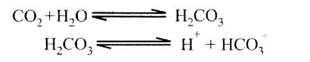 NCERT Solutions for Class 11 Biology Chapter 17 Breathing and Exchange of Gases 2