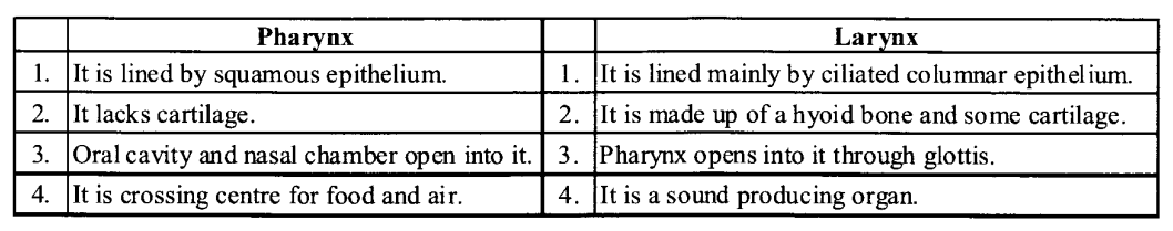 NCERT Solutions for Class 11 Biology Chapter 17 Breathing and Exchange of Gases 6