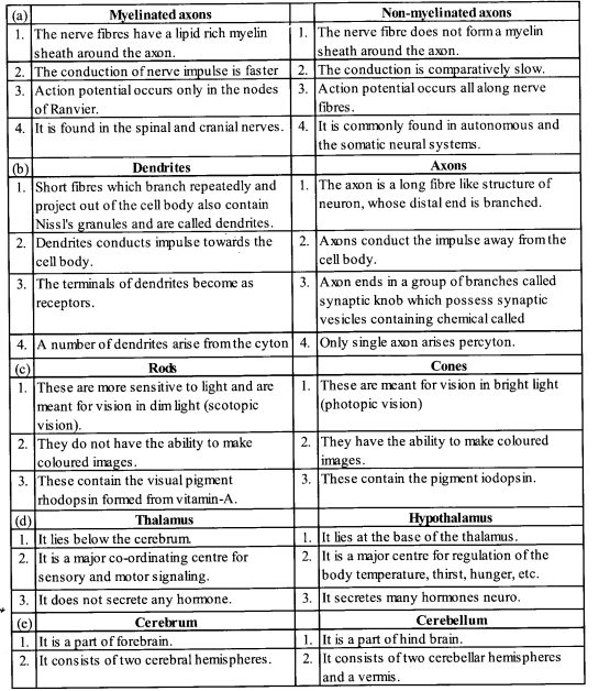 NCERT Solutions for Class 11 Biology Chapter 21 Neural control and co-ordination 10