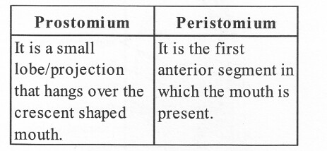 NCERT Solutions for Class 11 Biology Chapter 7 Structural Organization in Animals 3