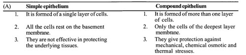NCERT Solutions for Class 11 Biology Chapter 7 Structural Organization in Animals 7