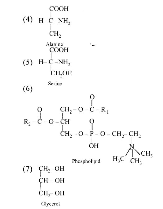 NCERT Solutions for Class 11 Biology Chapter 9 Biomolecules 3