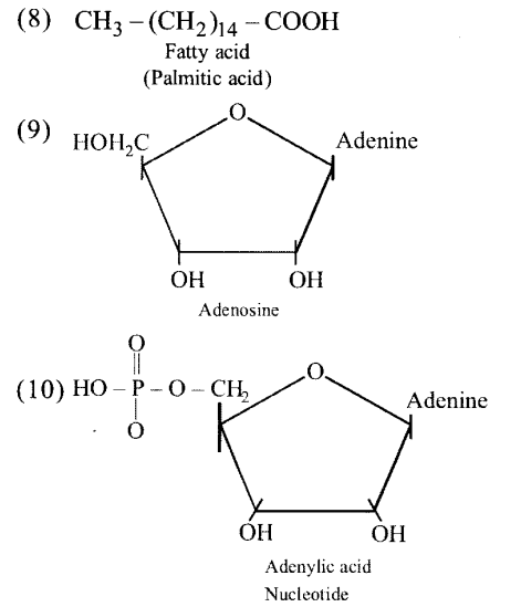 NCERT Solutions for Class 11 Biology Chapter 9 Biomolecules 4