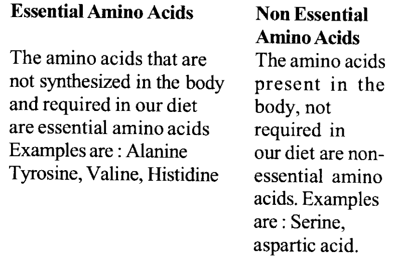 NCERT Solutions for Class 11 Biology Chapter 9 Biomolecules 9