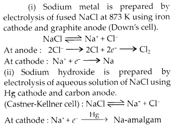 NCERT Solutions for Class 11 Chemistry Chapter 10 The s Block Elements 11