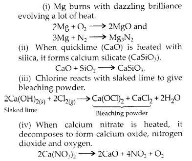NCERT Solutions for Class 11 Chemistry Chapter 10 The s Block Elements 13