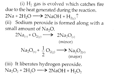 NCERT Solutions for Class 11 Chemistry Chapter 10 The s Block Elements 15