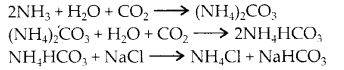 NCERT Solutions for Class 11 Chemistry Chapter 10 The s Block Elements 6