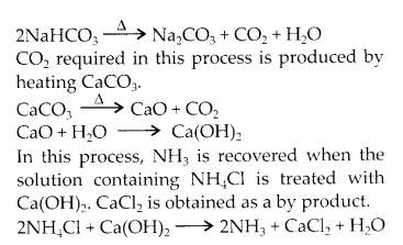 NCERT Solutions for Class 11 Chemistry Chapter 10 The s Block Elements 7