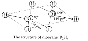 NCERT Solutions for Class 11 Chemistry Chapter 11 The p Block Elements 15