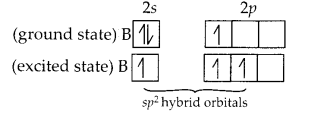 NCERT Solutions for Class 11 Chemistry Chapter 11 The p Block Elements 5