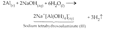 NCERT Solutions for Class 11 Chemistry Chapter 11 The p Block Elements 8