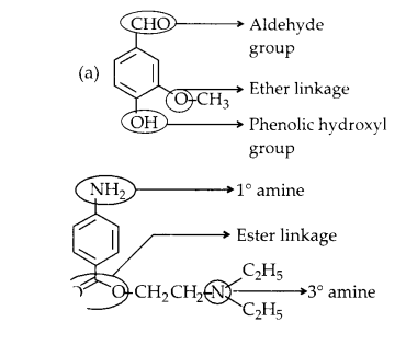 NCERT Solutions for Class 11 Chemistry Chapter 12 Organic Chemistry Some Basic Principles and Techniques 17