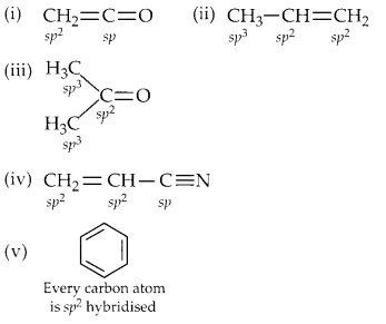 NCERT Solutions for Class 11 Chemistry Chapter 12 Organic Chemistry Some Basic Principles and Techniques 2