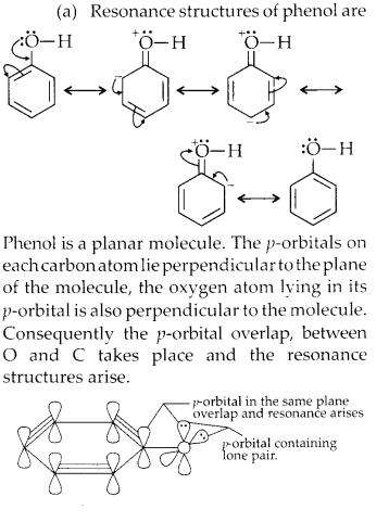 NCERT Solutions for Class 11 Chemistry Chapter 12 Organic Chemistry Some Basic Principles and Techniques 22