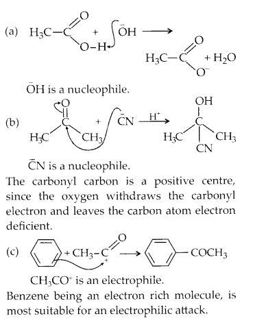 NCERT Solutions for Class 11 Chemistry Chapter 12 Organic Chemistry Some Basic Principles and Techniques 27