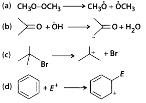 NCERT Solutions for Class 11 Chemistry Chapter 12 Organic Chemistry Some Basic Principles and Techniques 32