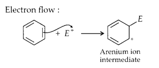 NCERT Solutions for Class 11 Chemistry Chapter 12 Organic Chemistry Some Basic Principles and Techniques 34