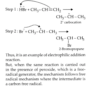 NCERT Solutions for Class 11 Chemistry Chapter 13 Hydrocarbons 21