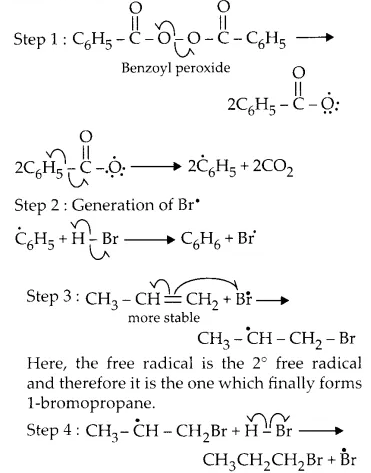 NCERT Solutions for Class 11 Chemistry Chapter 13 Hydrocarbons 22