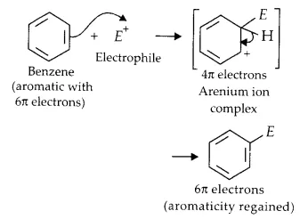 NCERT Solutions for Class 11 Chemistry Chapter 13 Hydrocarbons 28