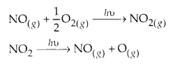 NCERT Solutions for Class 11 Chemistry Chapter 14 Environmental Chemistry 2
