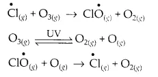 NCERT Solutions for Class 11 Chemistry Chapter 14 Environmental Chemistry 5