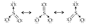 NCERT Solutions for Class 11 Chemistry Chapter 4 Chemical Bonding and Molecular Structure 13