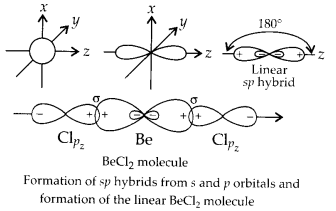 NCERT Solutions for Class 11 Chemistry Chapter 4 Chemical Bonding and Molecular Structure 21