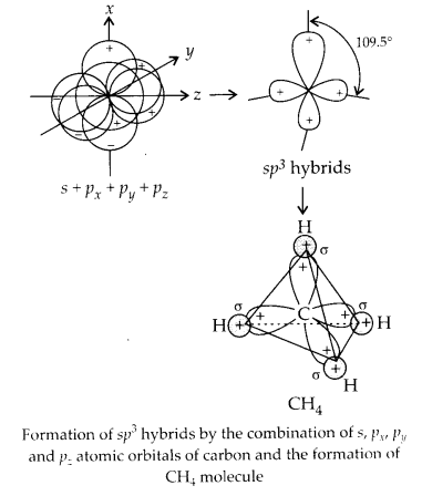 NCERT Solutions for Class 11 Chemistry Chapter 4 Chemical Bonding and Molecular Structure 23