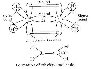 NCERT Solutions for Class 11 Chemistry Chapter 4 Chemical Bonding and Molecular Structure 24