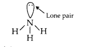 NCERT Solutions for Class 11 Chemistry Chapter 4 Chemical Bonding and Molecular Structure 28