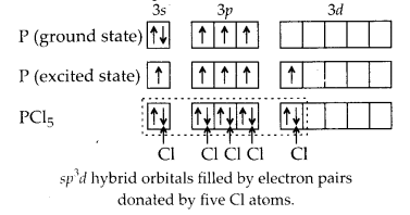 NCERT Solutions for Class 11 Chemistry Chapter 4 Chemical Bonding and Molecular Structure 31