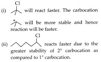 NCERT Solutions for Class 12 Chemistry Chapter 10 Haloalkanes and Haloarenes 12