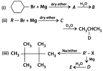 NCERT Solutions for Class 12 Chemistry Chapter 10 Haloalkanes and Haloarenes 13