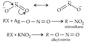NCERT Solutions for Class 12 Chemistry Chapter 10 Haloalkanes and Haloarenes 29