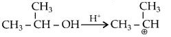 NCERT Solutions for Class 12 Chemistry Chapter 11 Alcohols, Phenols and Ehers 56