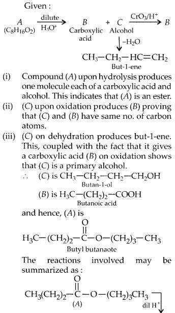 NCERT Solutions for Class 12 Chemistry Chapter 12 Aldehydes, Ketones and Carboxylic Acids 31