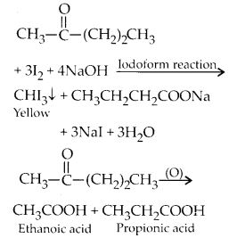 NCERT Solutions for Class 12 Chemistry Chapter 12 Aldehydes, Ketones and Carboxylic Acids 62