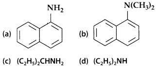 NCERT Solutions for Class 12 Chemistry Chapter 13 Amines 1