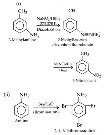NCERT Solutions for Class 12 Chemistry Chapter 13 Amines 12