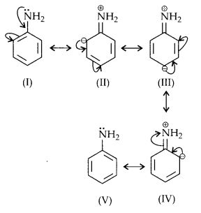 NCERT Solutions for Class 12 Chemistry Chapter 13 Amines 16