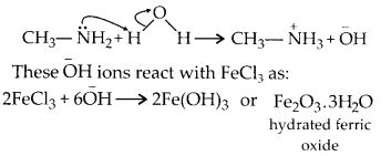 NCERT Solutions for Class 12 Chemistry Chapter 13 Amines 18