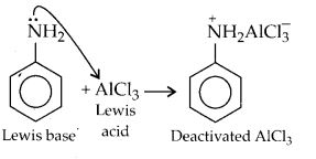 NCERT Solutions for Class 12 Chemistry Chapter 13 Amines 20